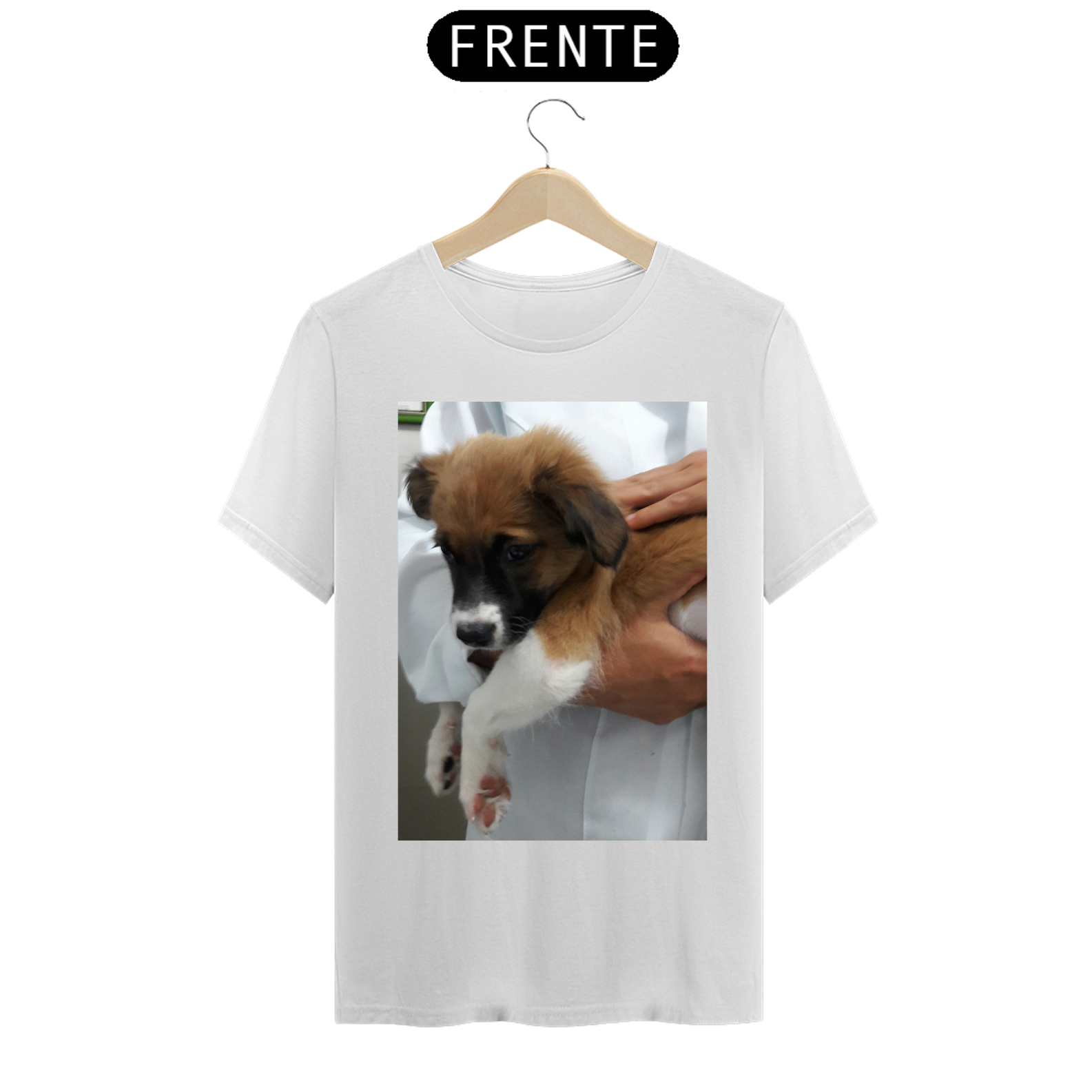 Cachorro