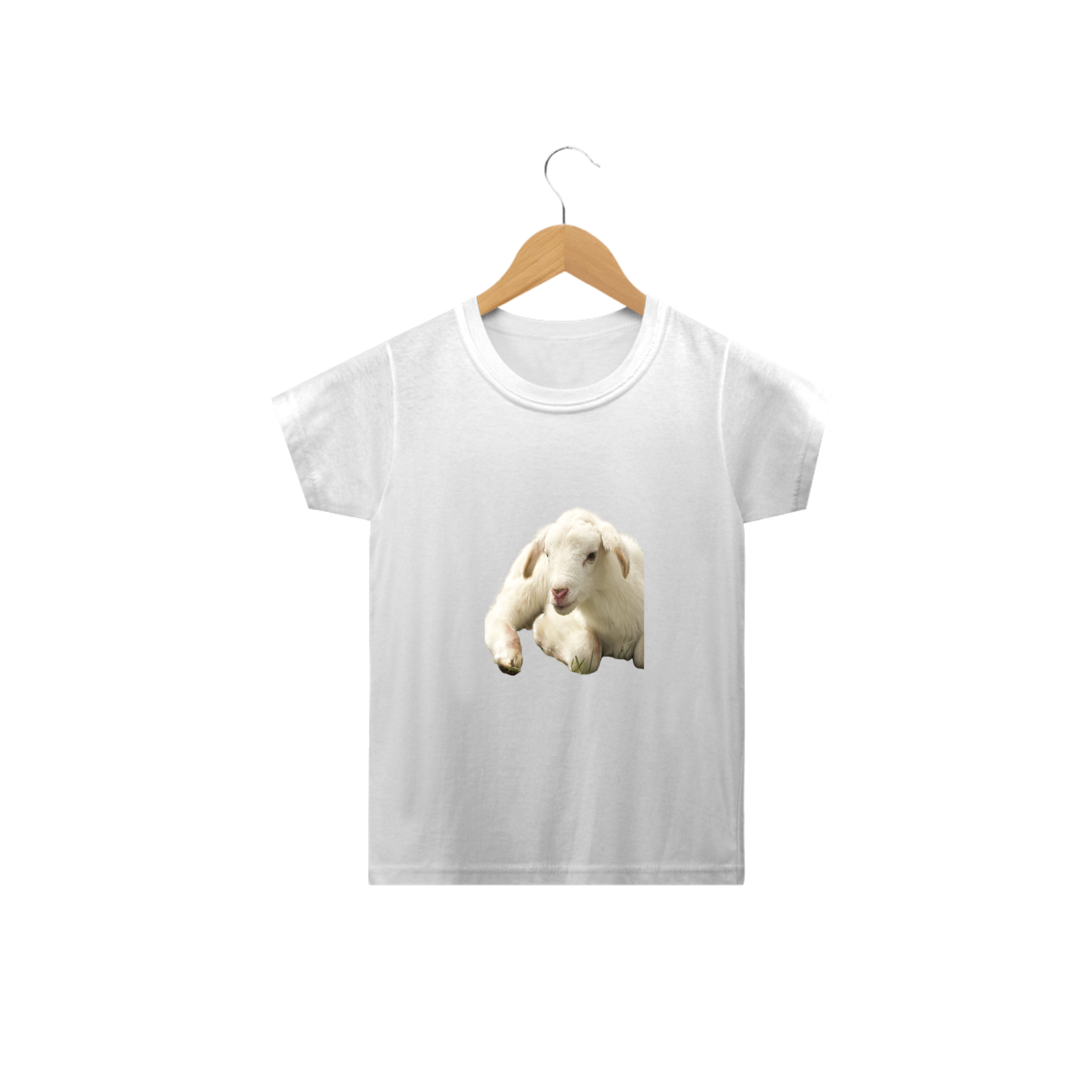 Cordeiro ( 2 a 14 anos)