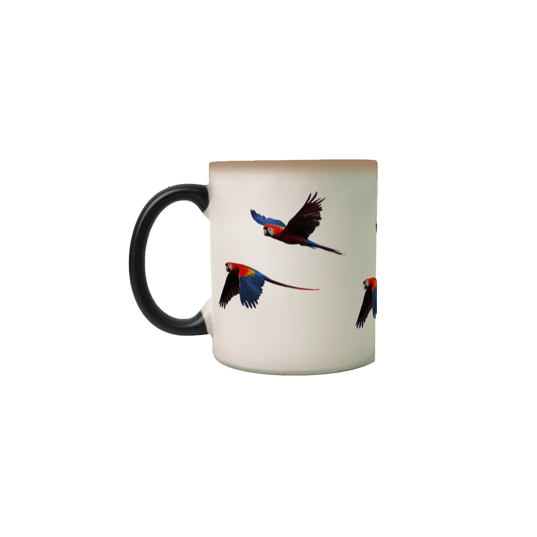 Nome do produto  Arara