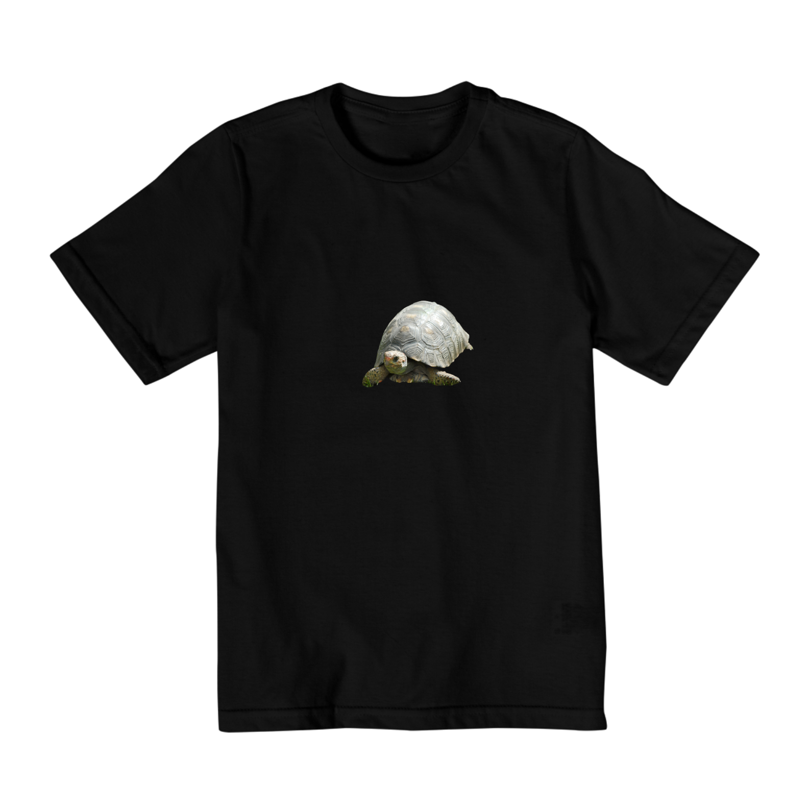 Tartaruga ( 10 a 14 anos)