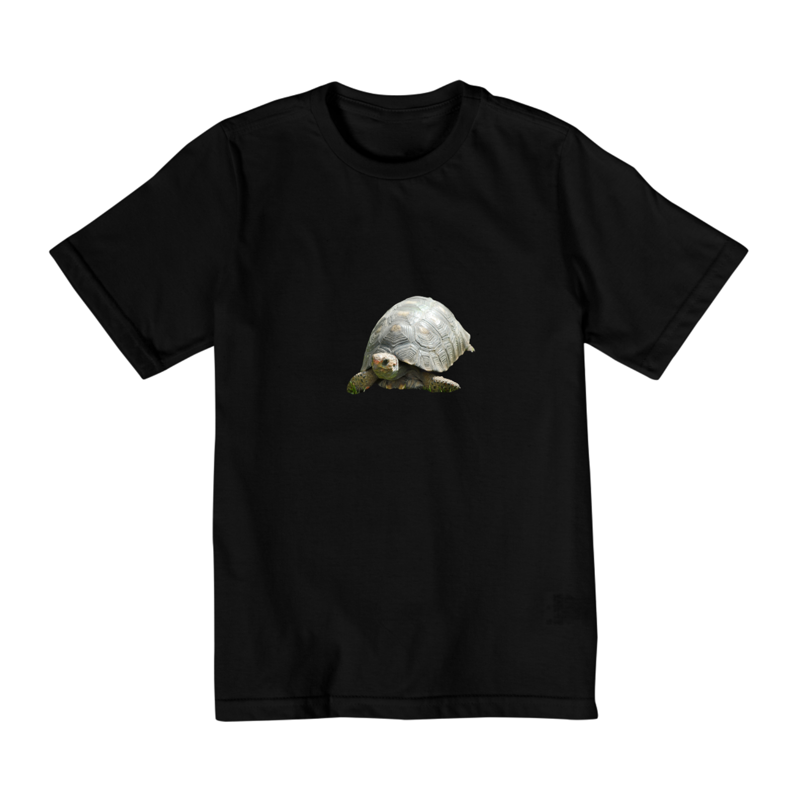 Tartaruga( 2 a 8 anos)