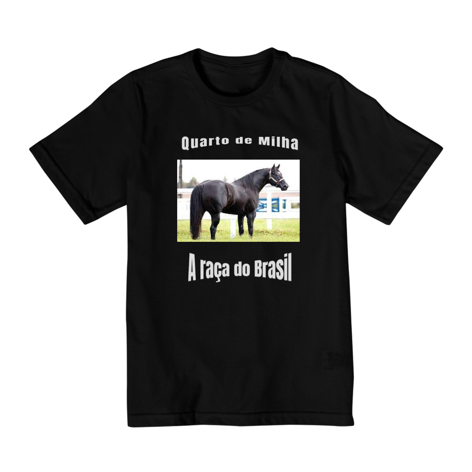 Nome do produto: Quarto de Milha A RAÇA  do BRAZIL