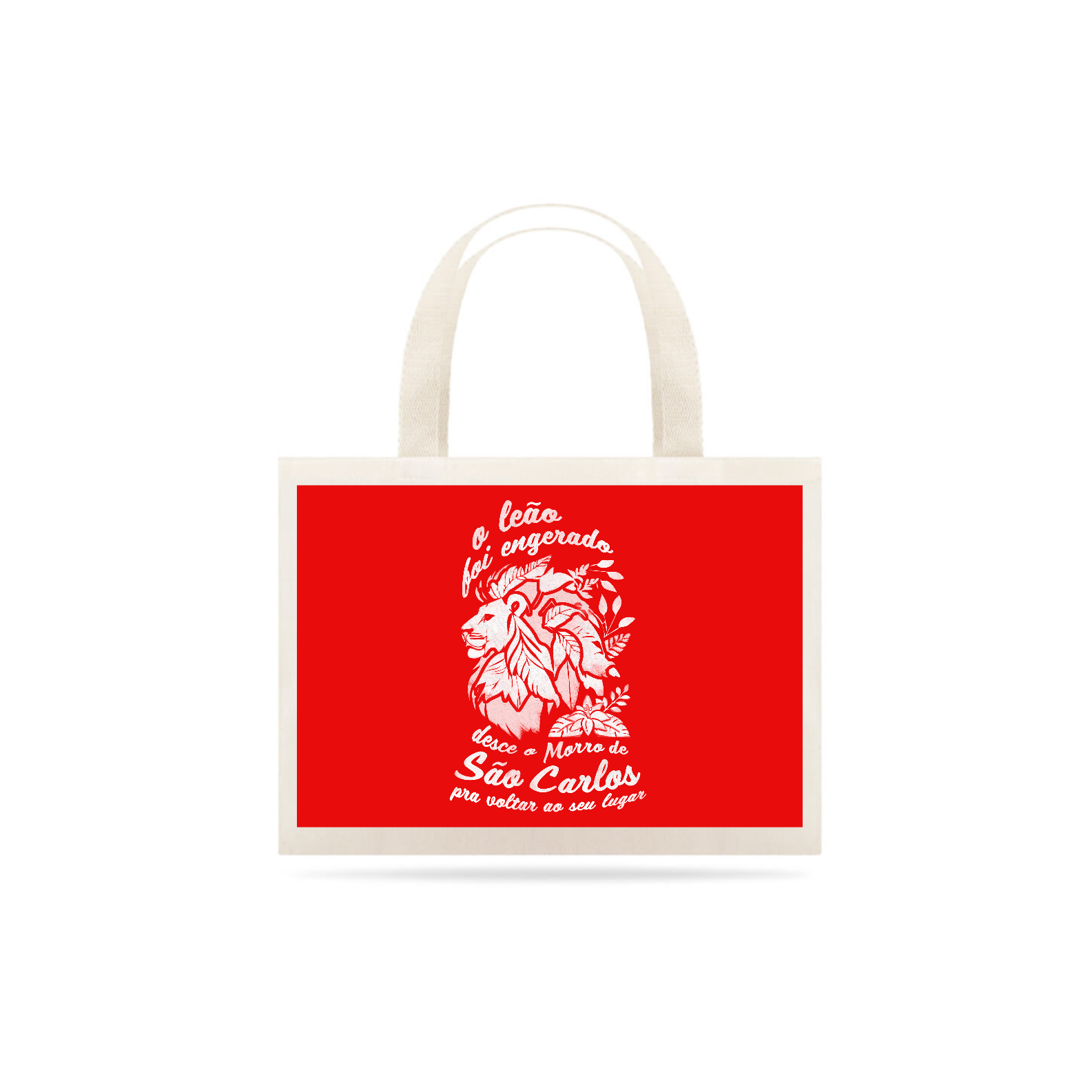 Estácio de Sá 2025: Desce o Morro de São Carlos