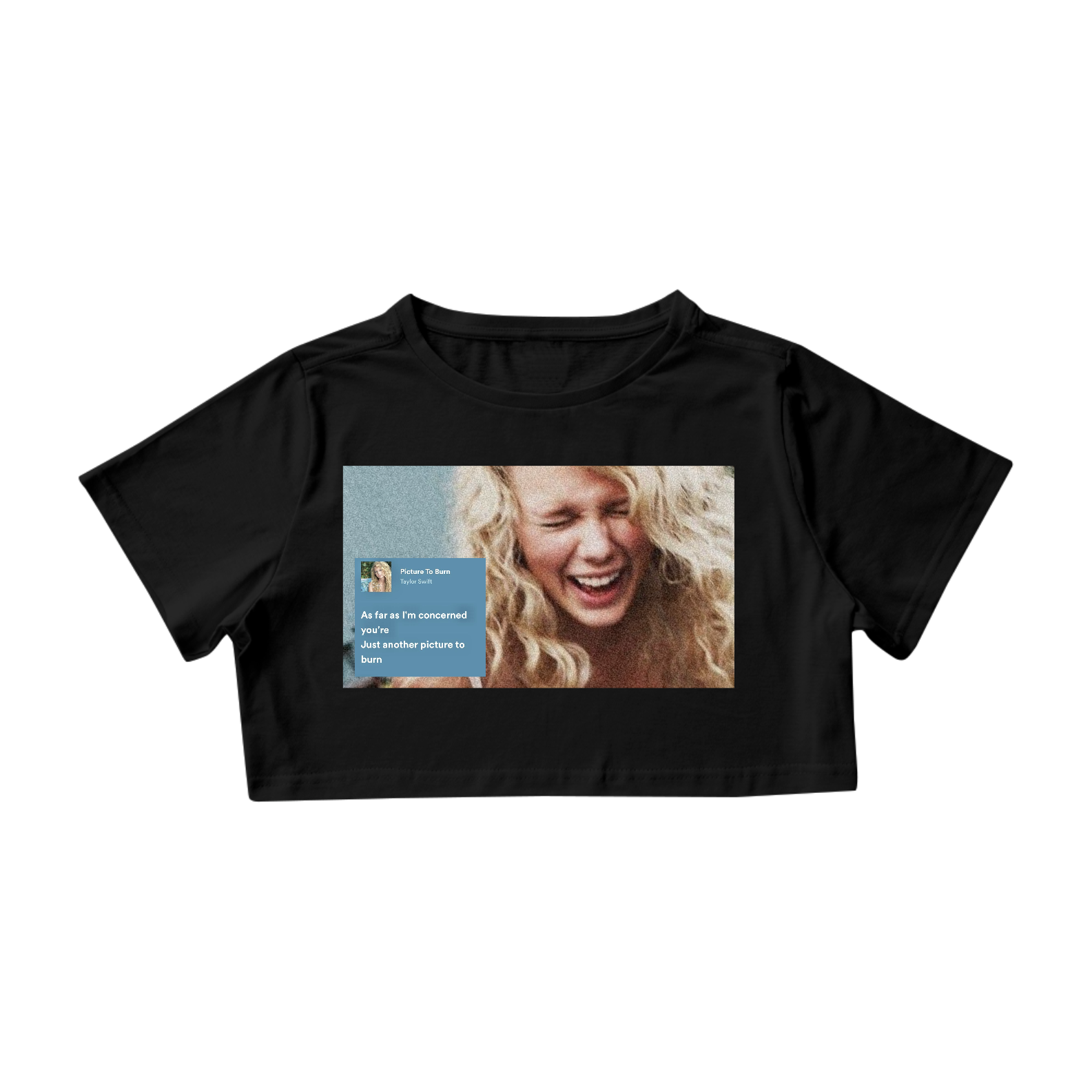 Cropped Taylor Swift - Picture to Burn