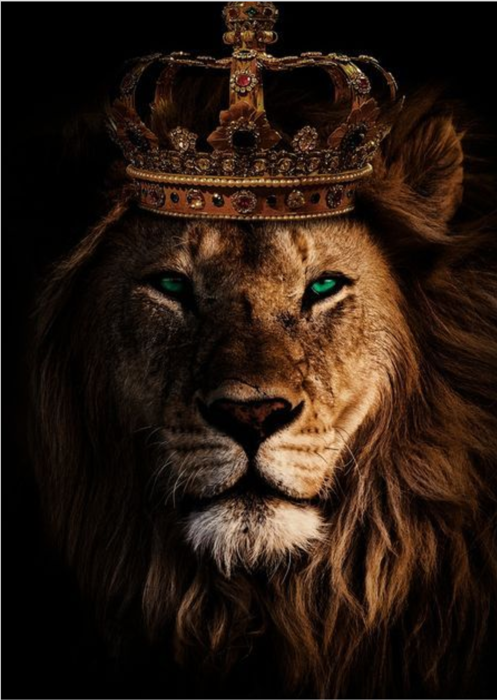 Poster - Leão de Judá