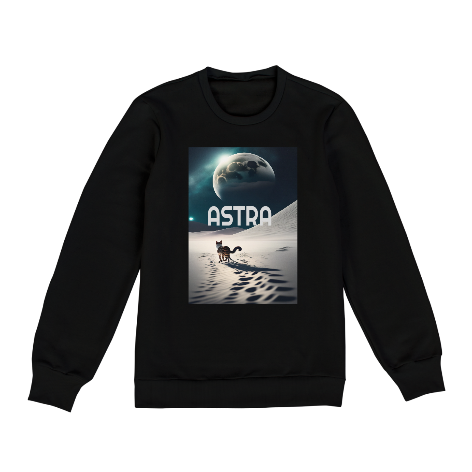 Moleton Astra cat and the moon