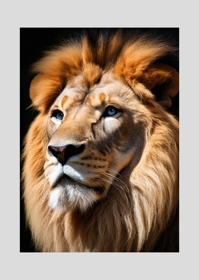 lion