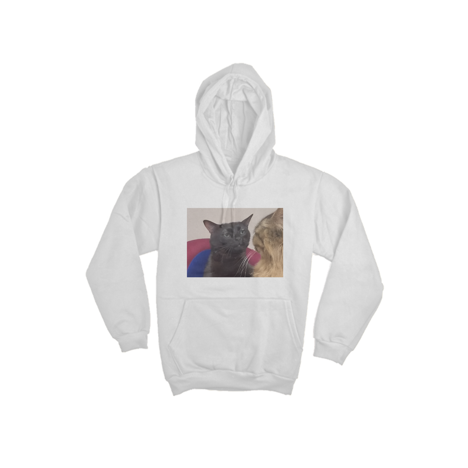 Nome do produto: Moletom Gato Meme