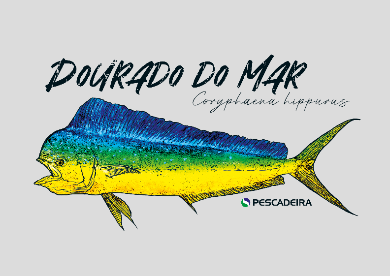 Poster - Dourado do Mar