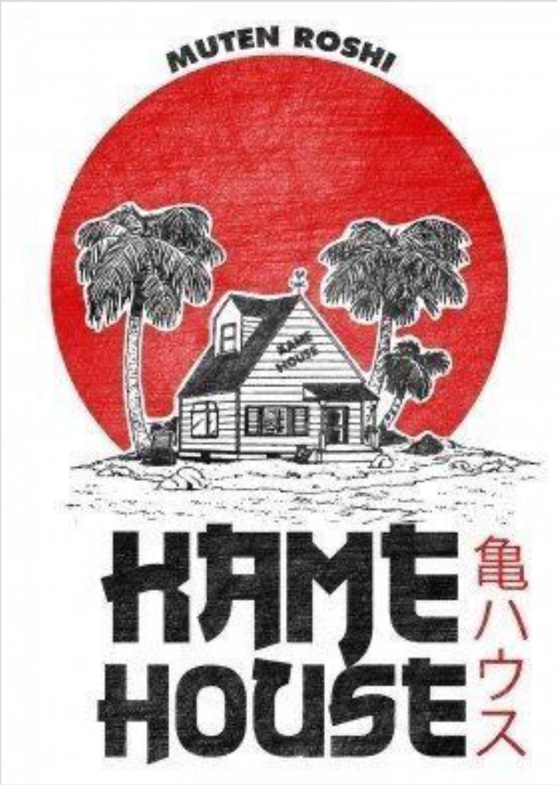 POSTER KAME HOUSE