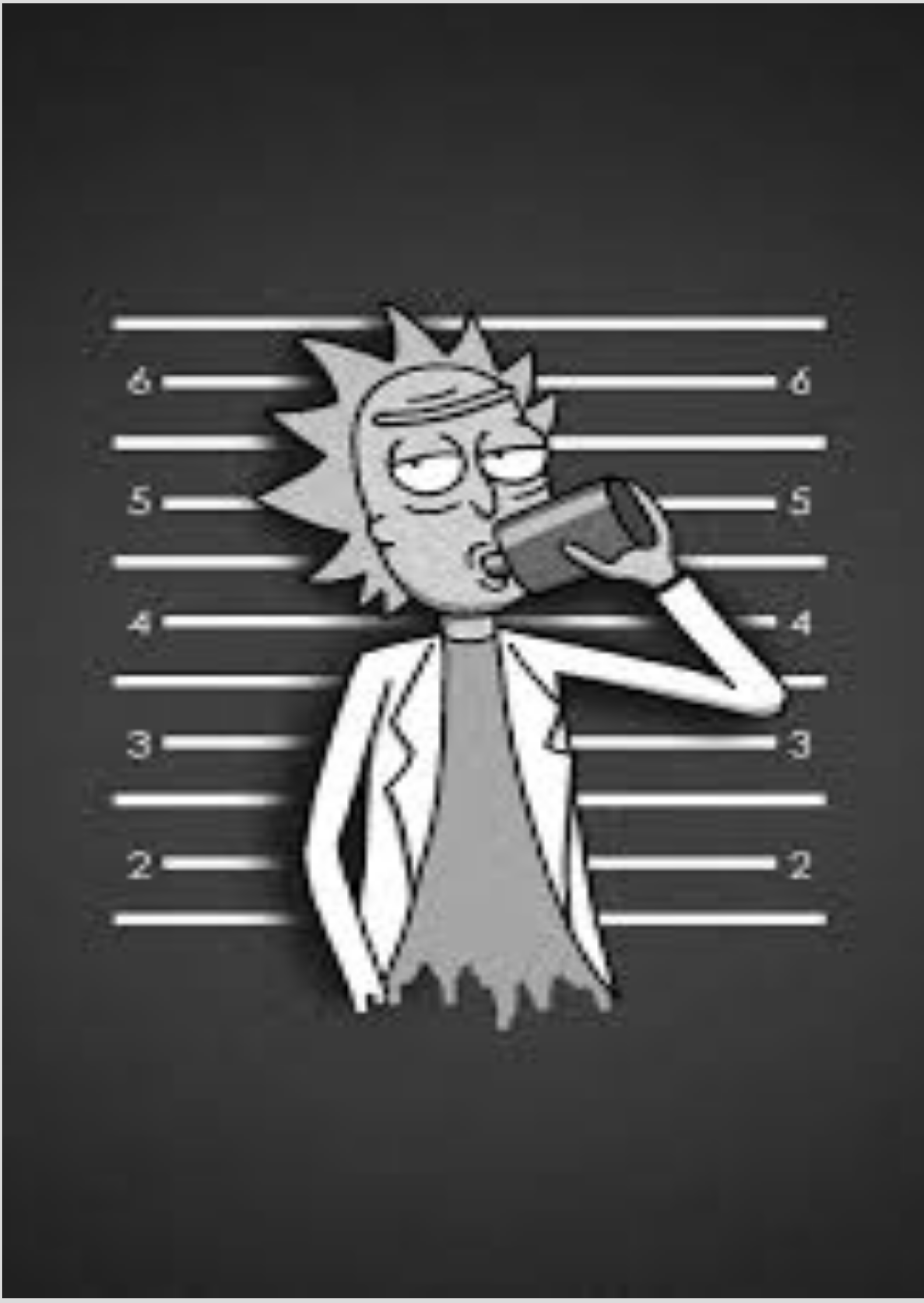 Nome do produto: Fyle Rick de Rick e morning 