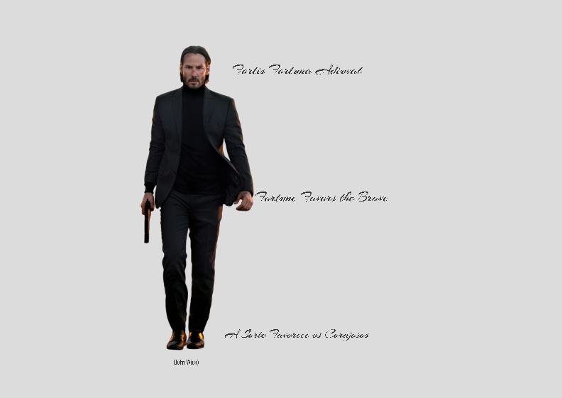 Poster Paisagem - John Wick 1 - Fortis Fortuna Adiuvat