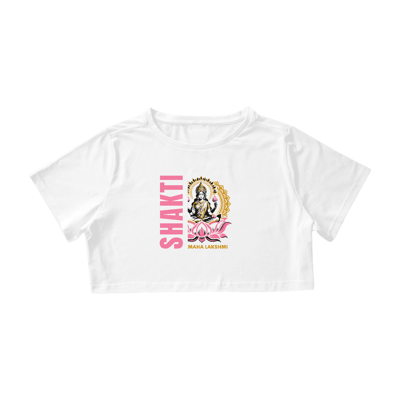 shakti - lakshmi