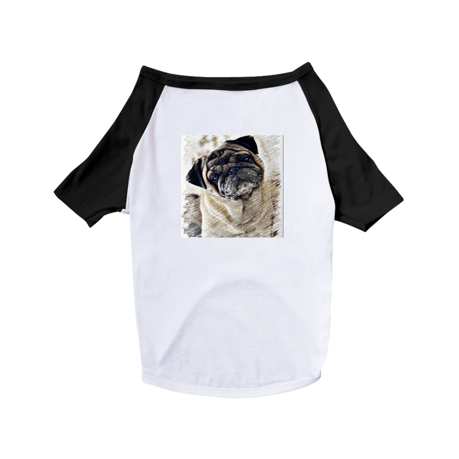 Camisetas Pet