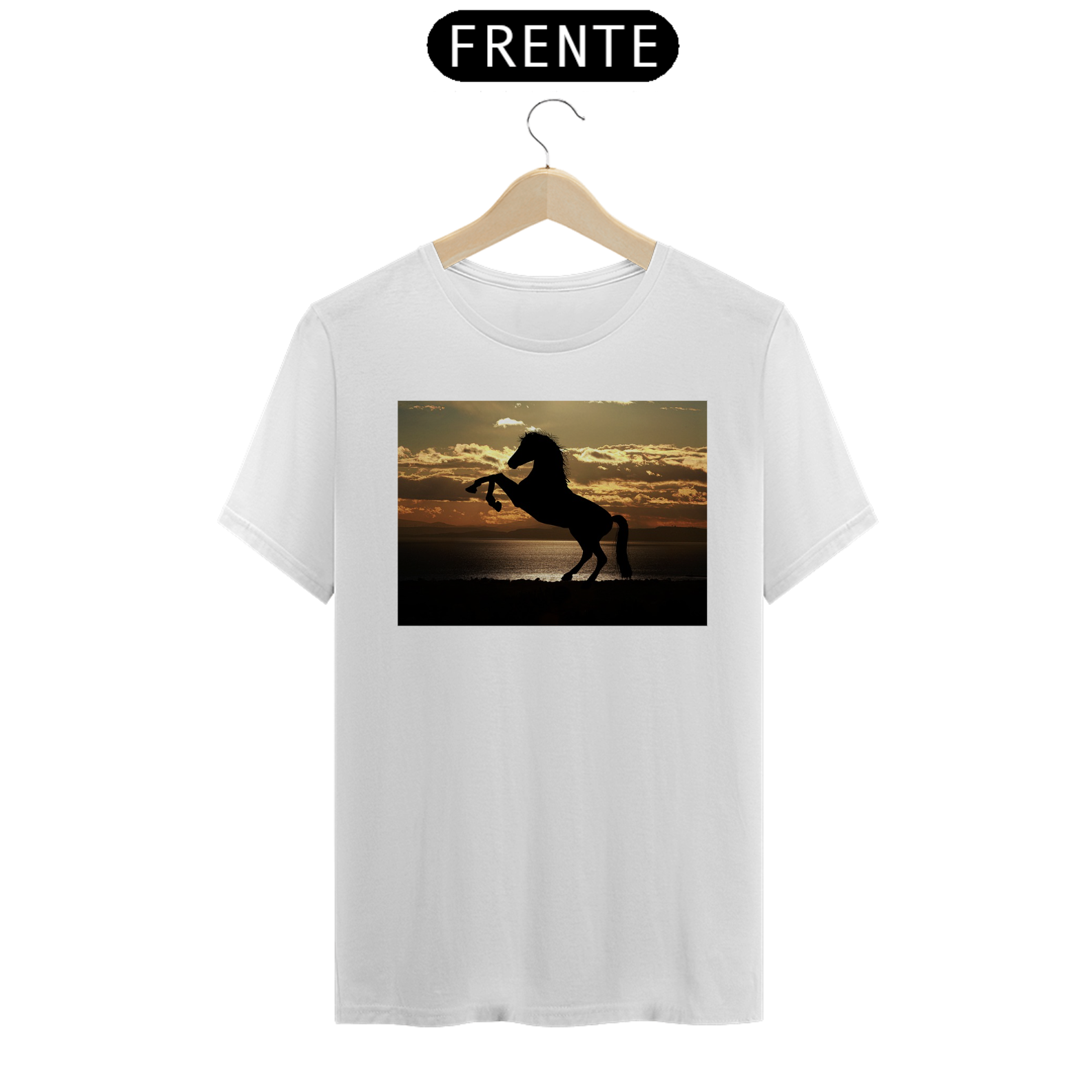 Cavalo Por do Sol