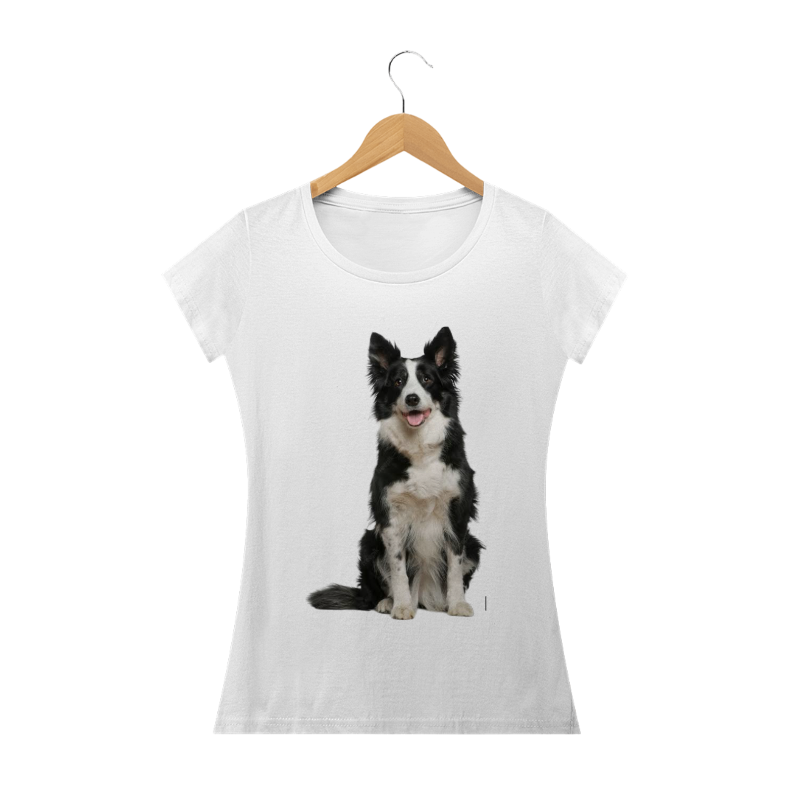 Nome do produto  Border Collie