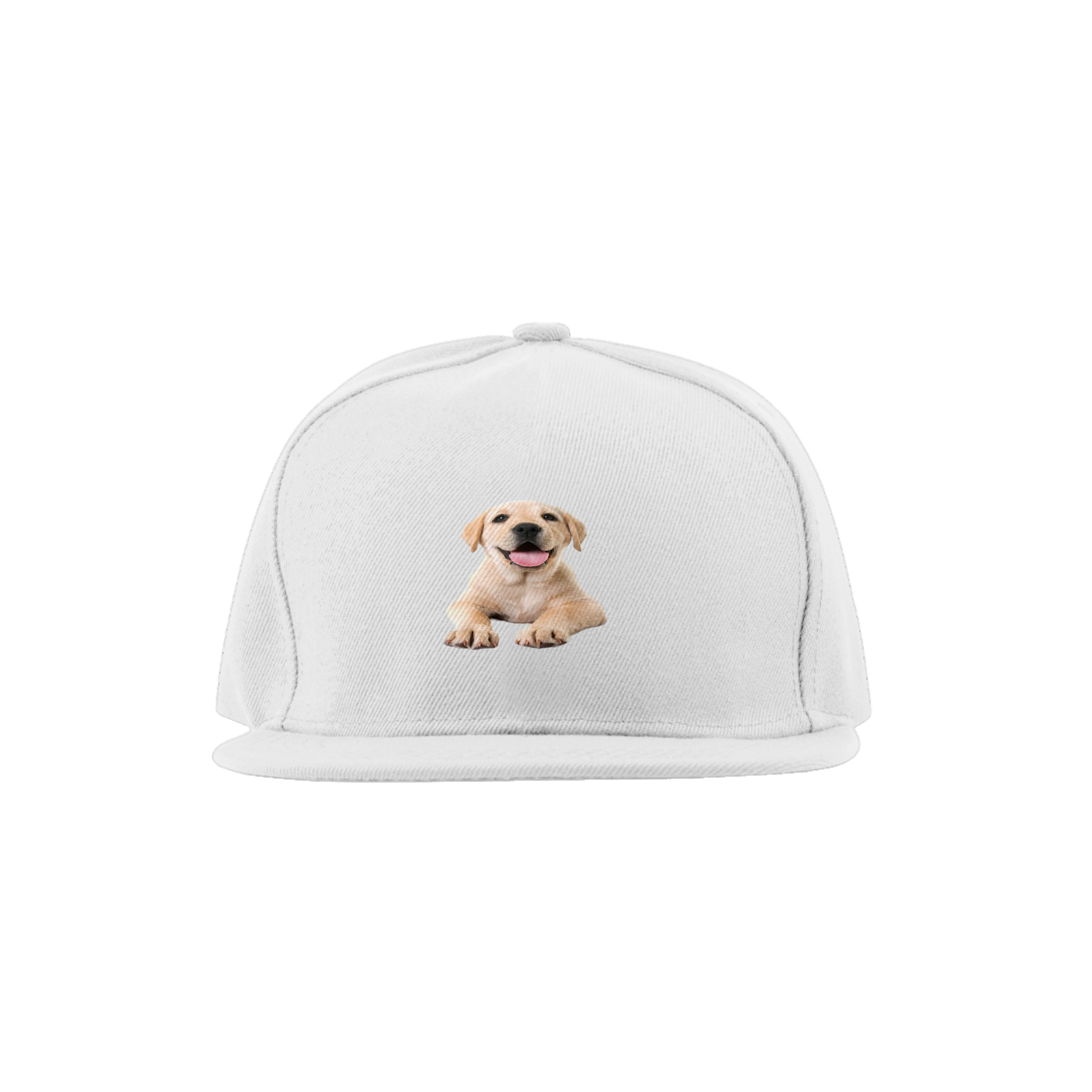 Nome do produto  Dog