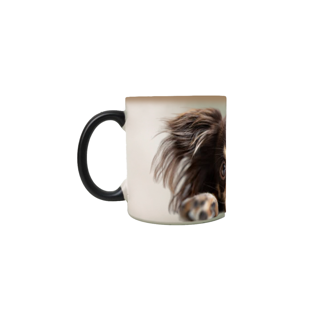 Nome do produto  Dog