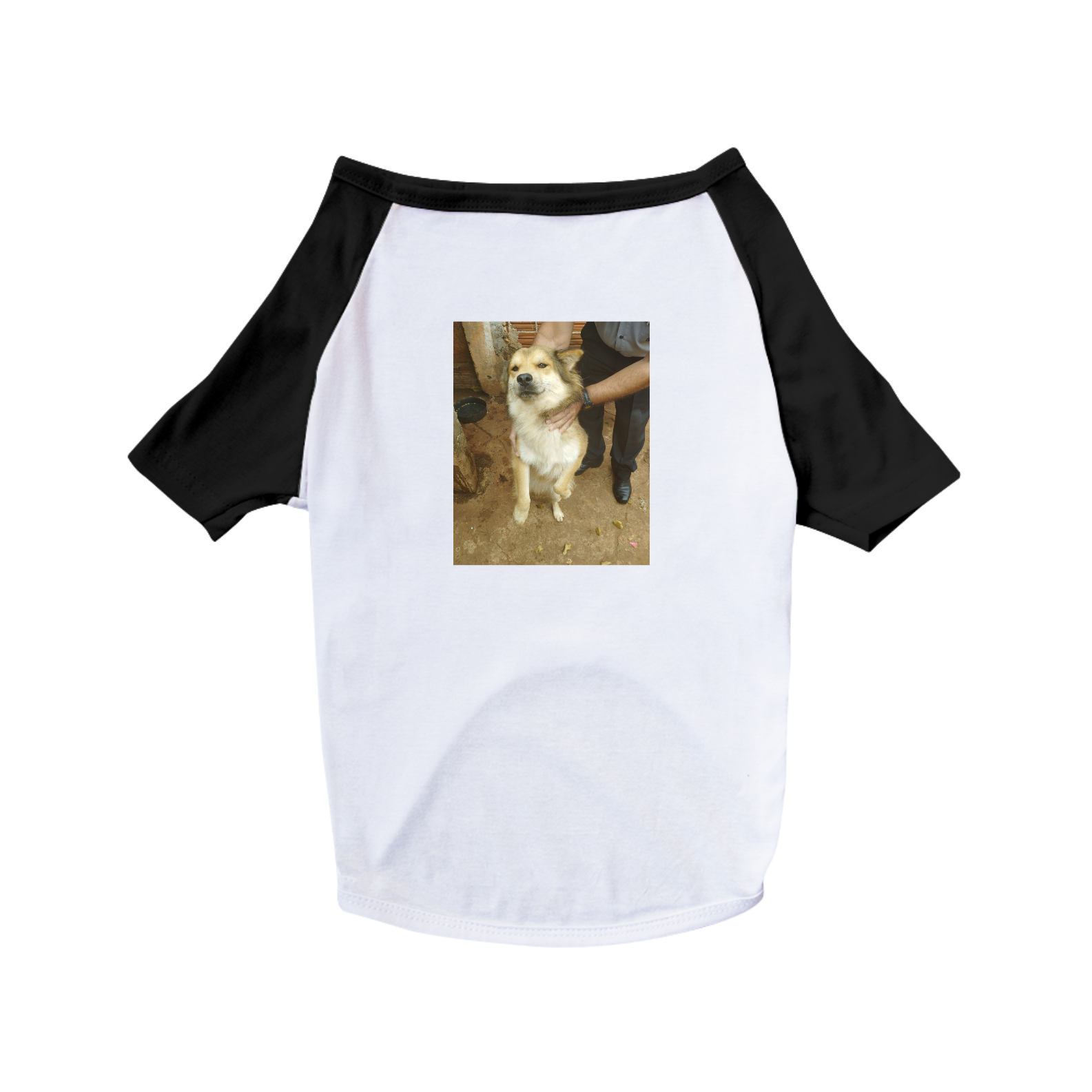 Camiseta Pet