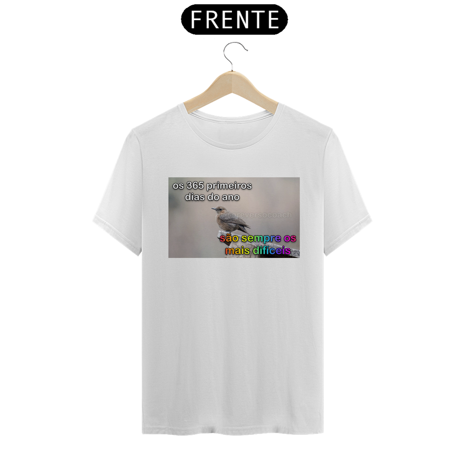 Camiseta 365 dias (Ano Novo)