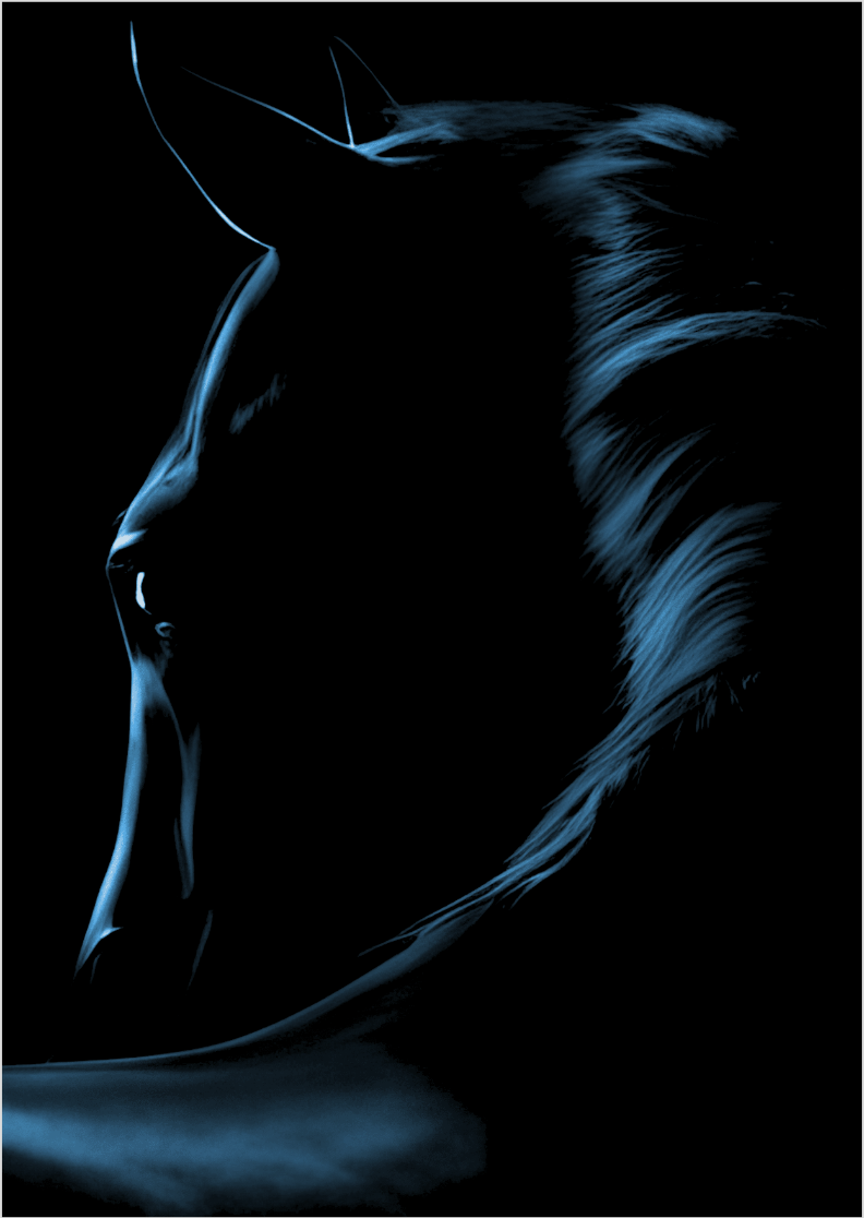 Poster Retrato Cavalo Preto