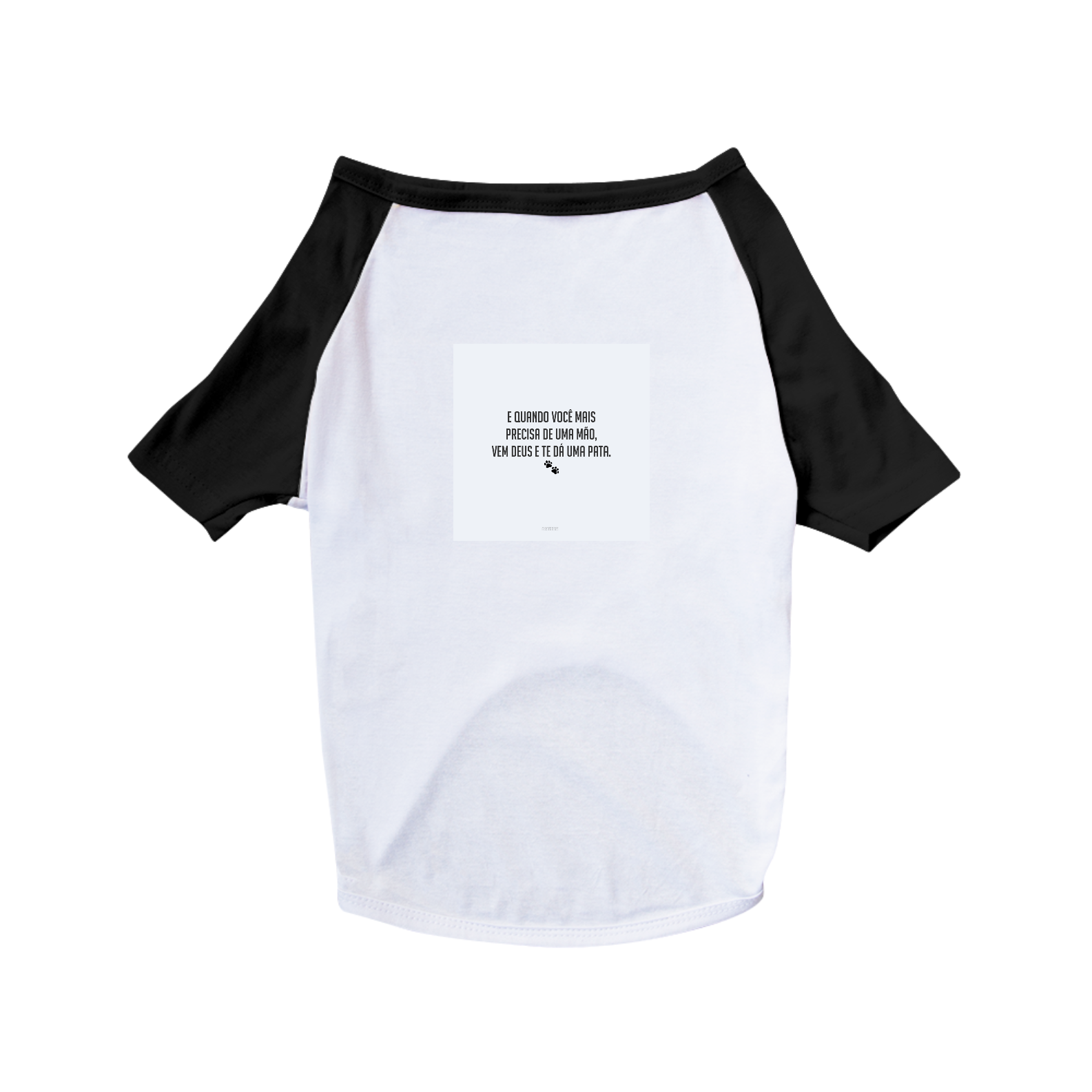 camisa do pet