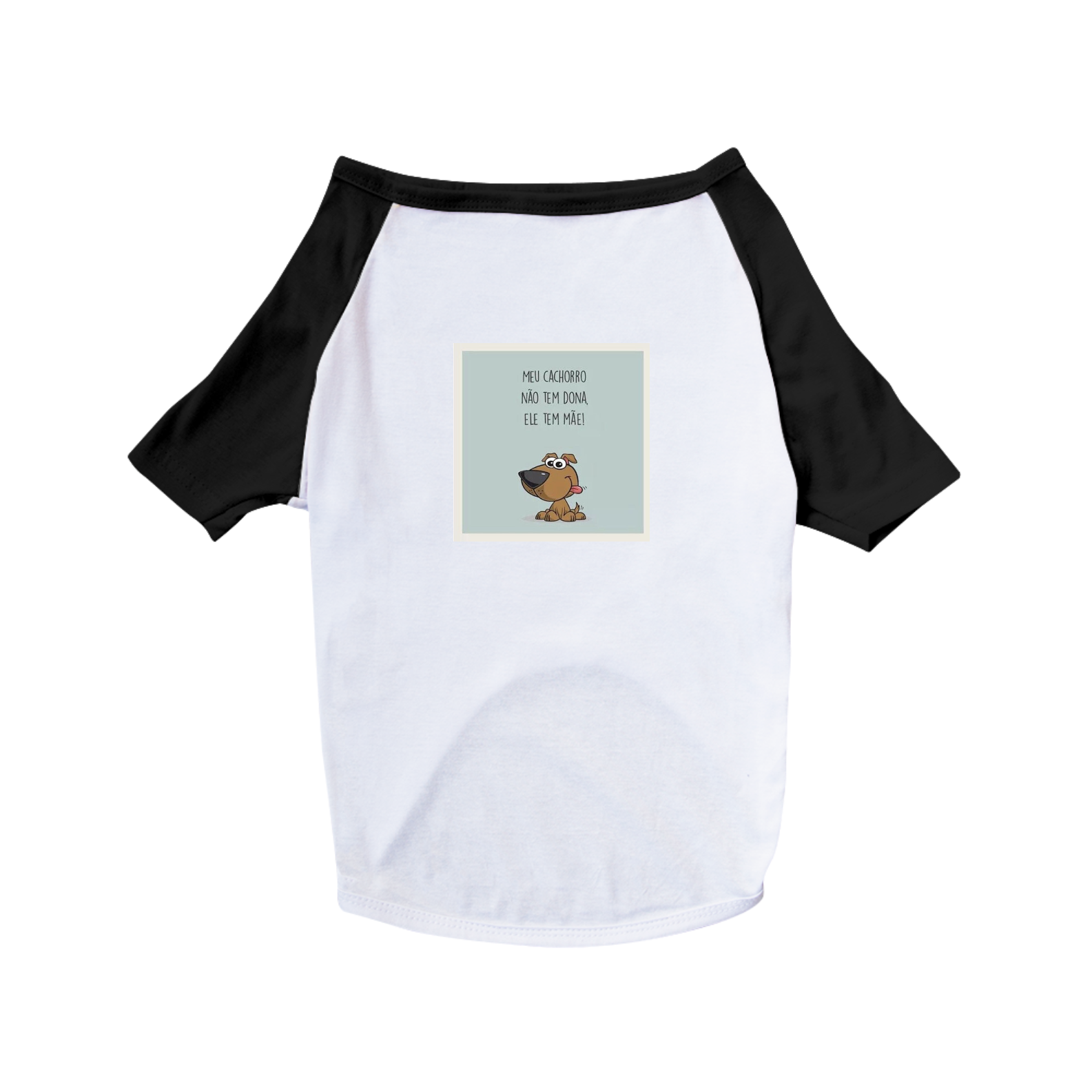 camisa do pet