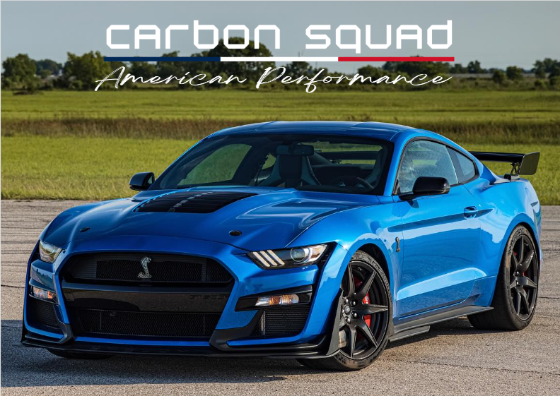 Pôster Carbon Squad GT500