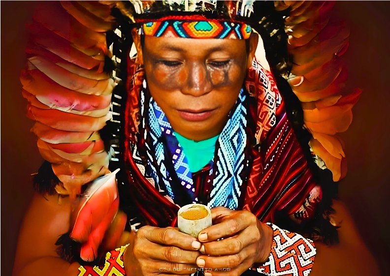 Pôster O ÍNDIO QUE EXISTE EM MIM