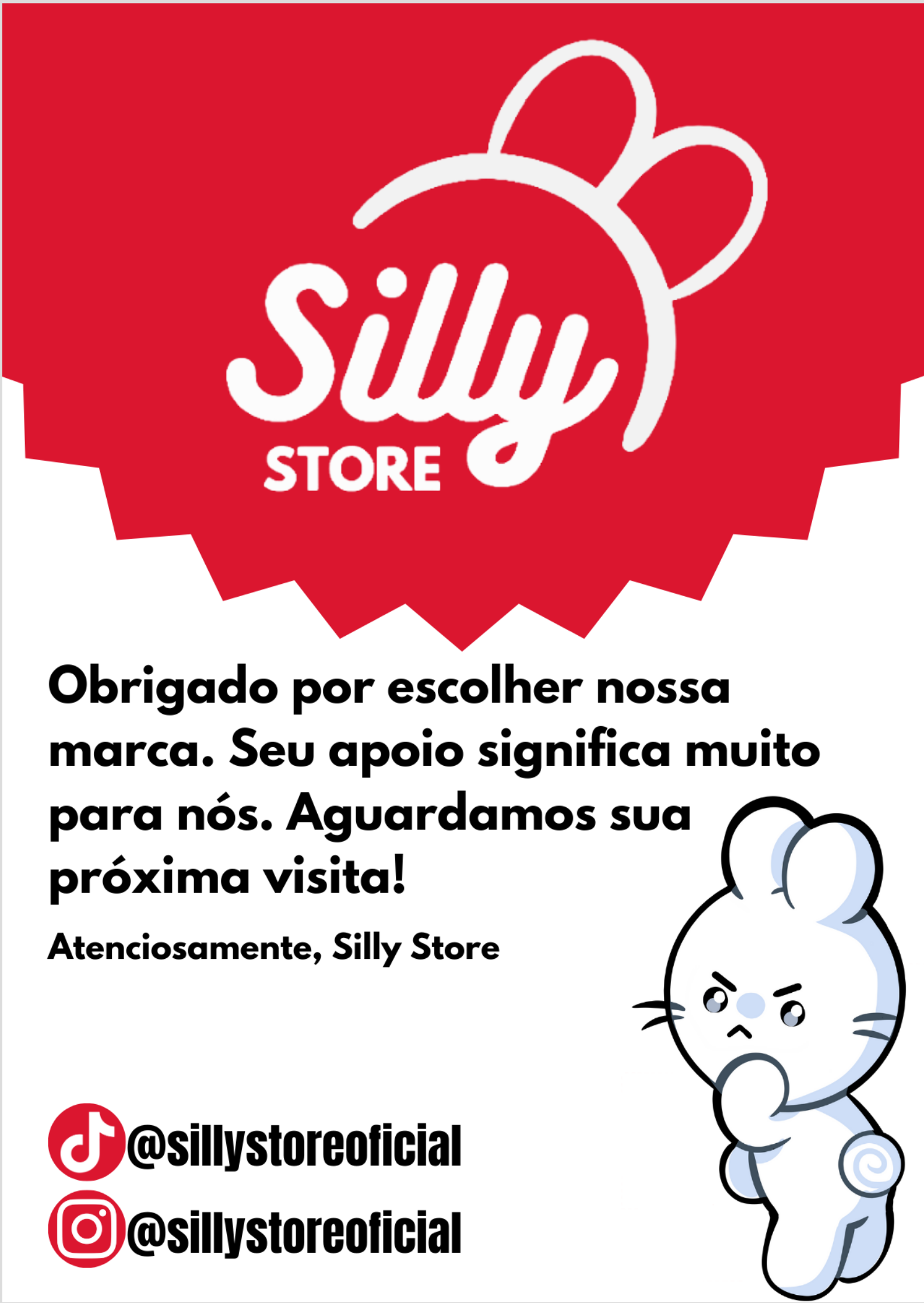 Nome do produto: Flyer Silly Store