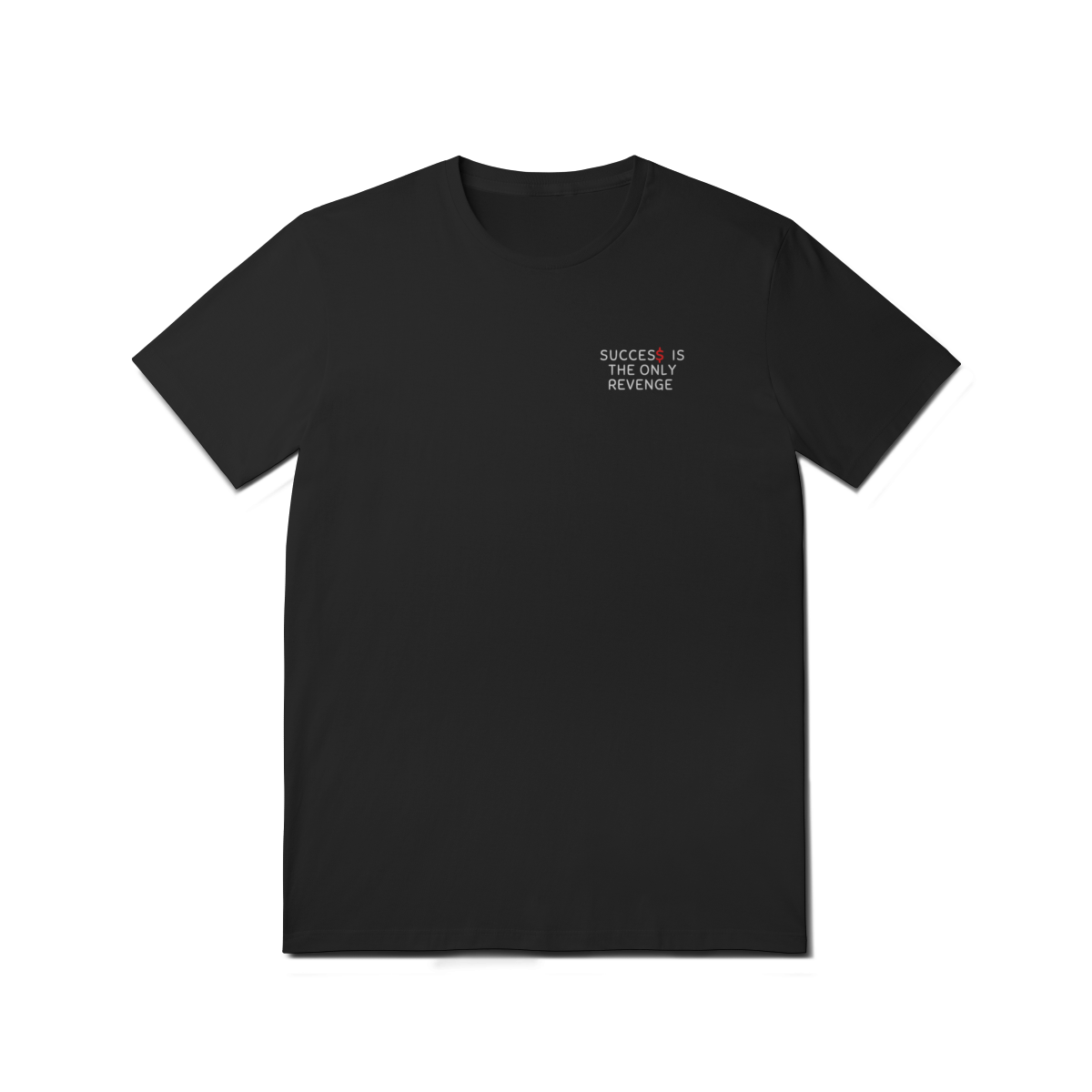 Success Is The Only Revenge