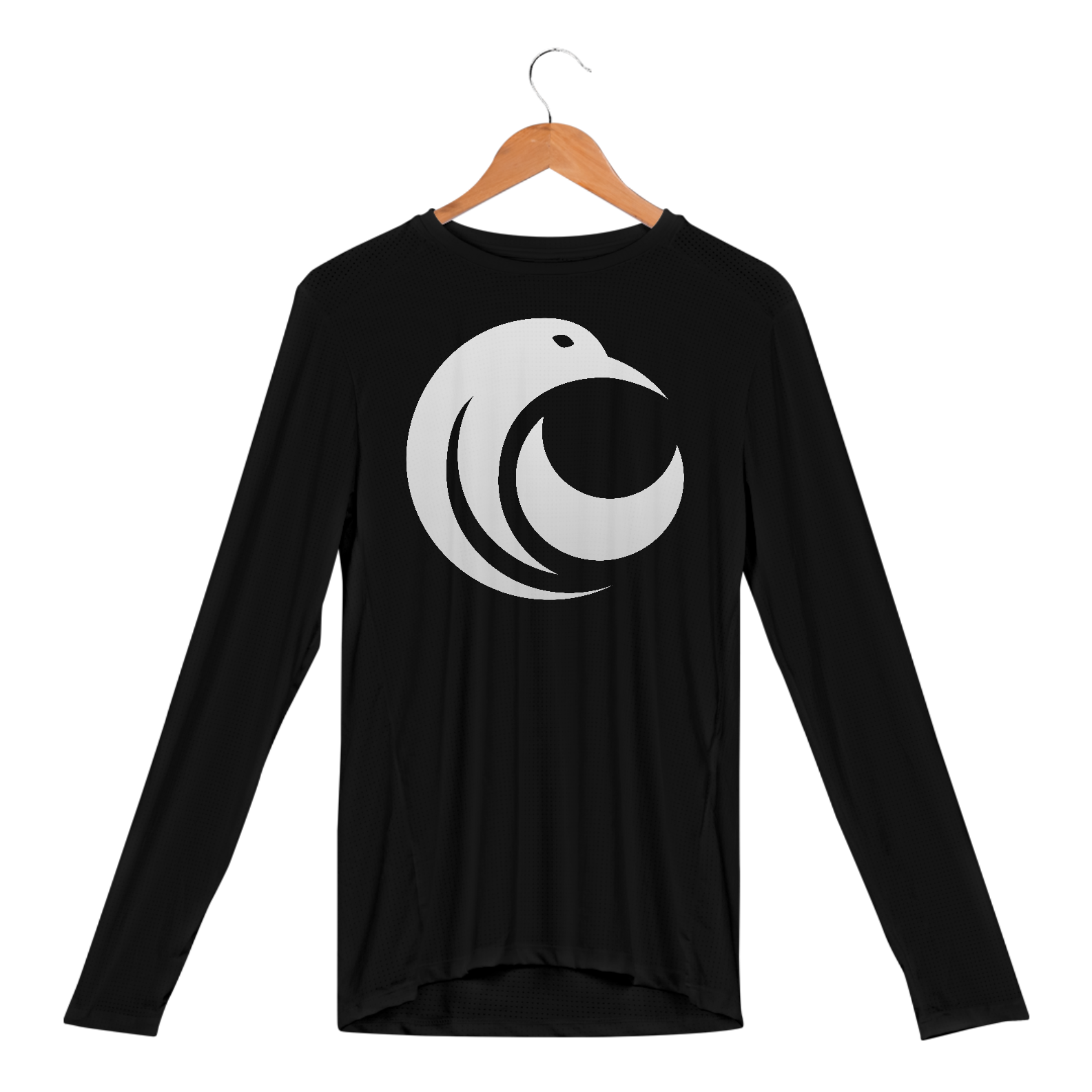 Camiseta Manga Longa do Corvo