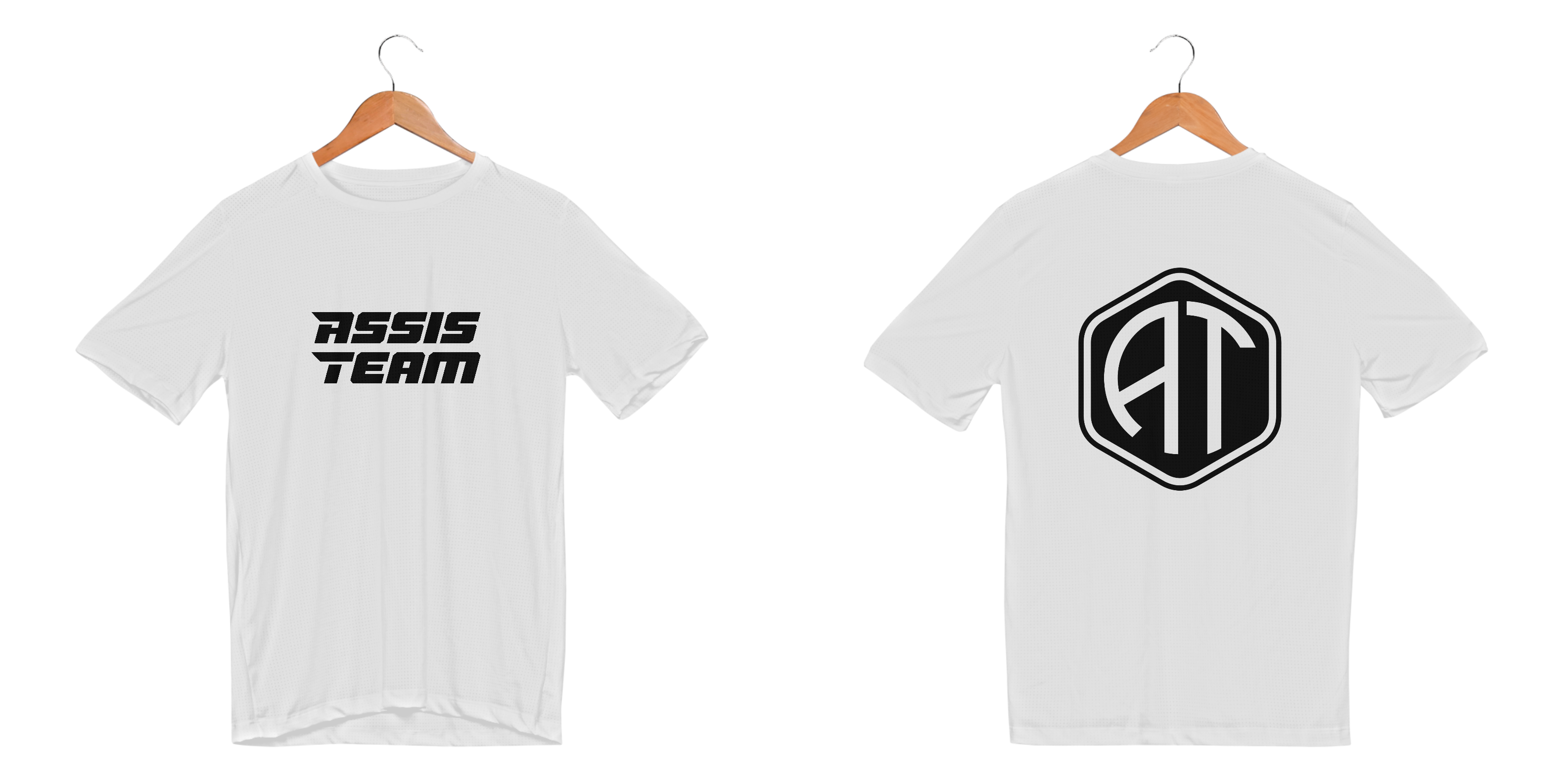 CAMISETA SPORT DRY UV ASSIS TEAM