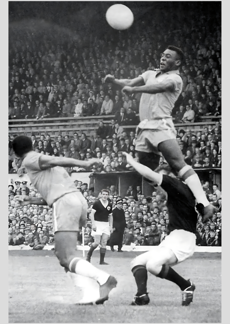 Pôster - O Voo Do Rei