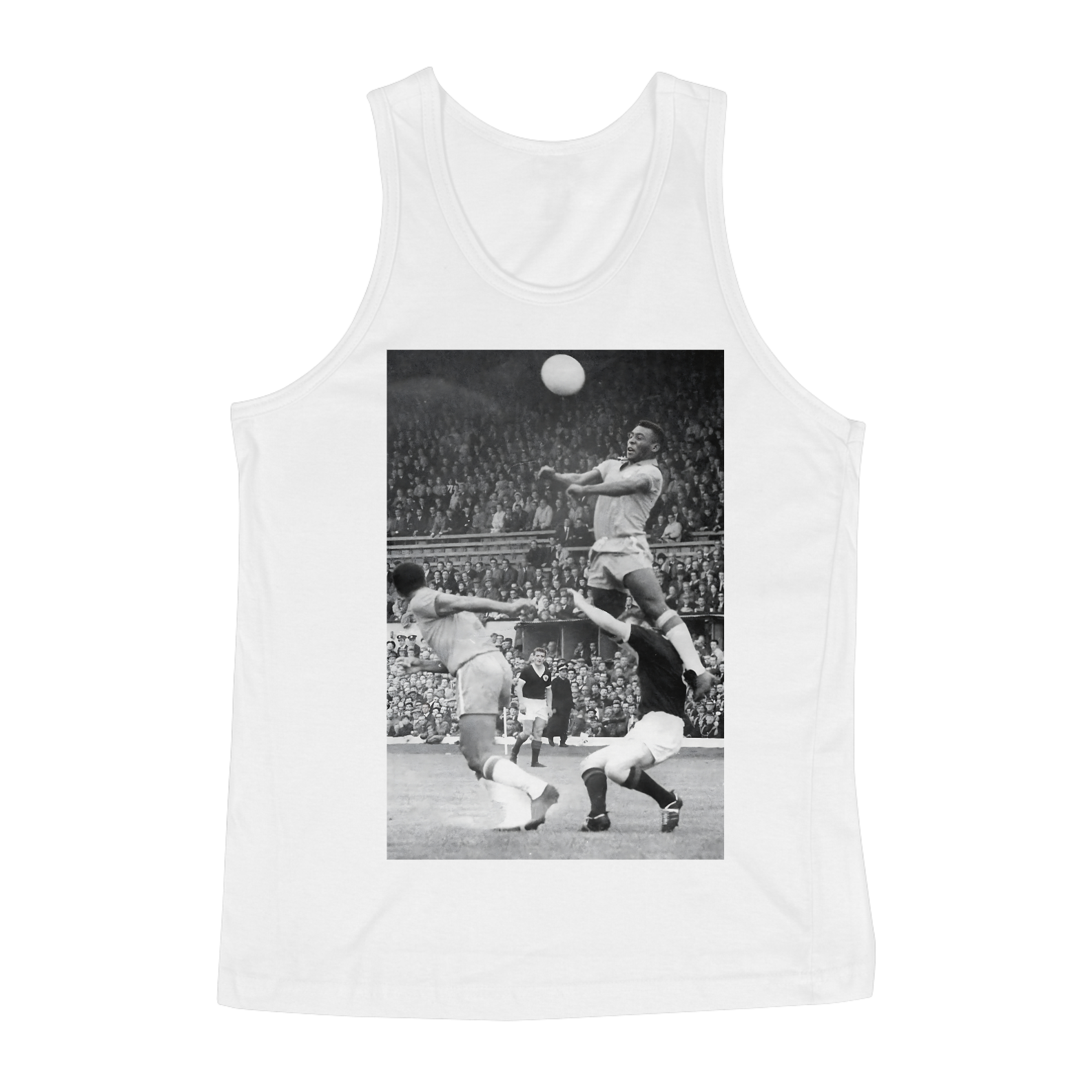 Regata - O Voo Do Rei