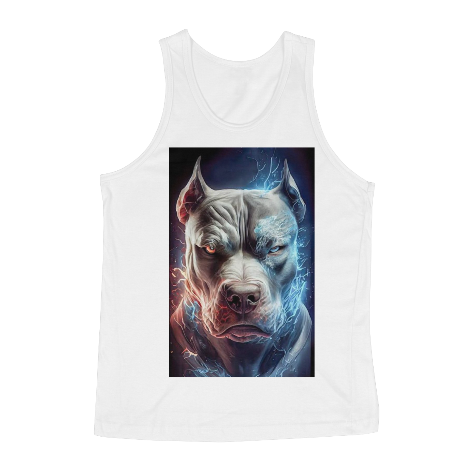 Regata Pit Bull 1