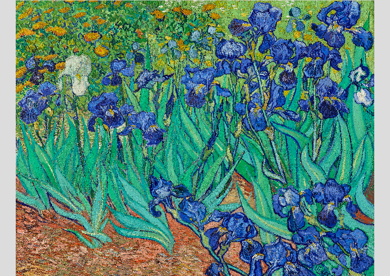 Nome do produto: Van Gogh. Lírios, 1889 | Óleo sobre Tela