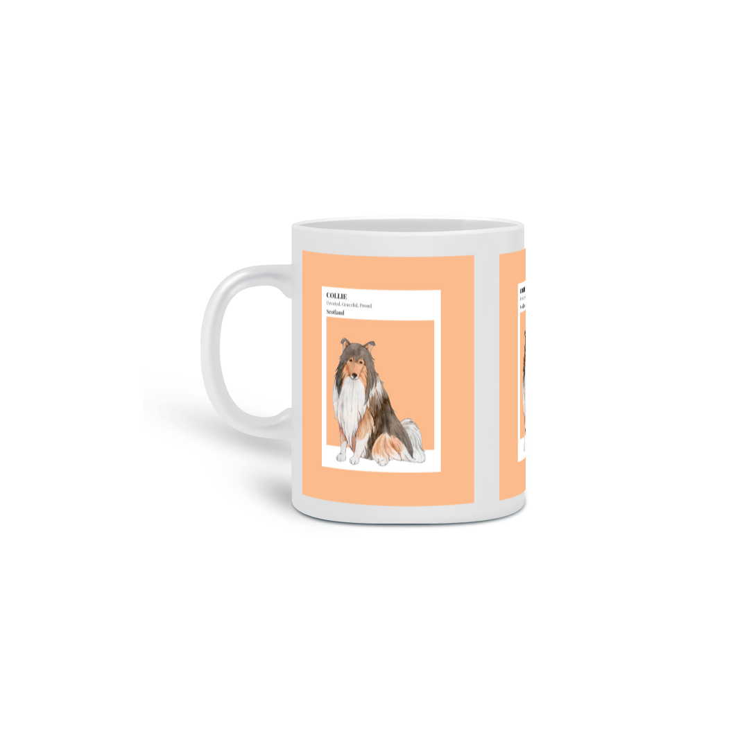 CANECA COLLIE