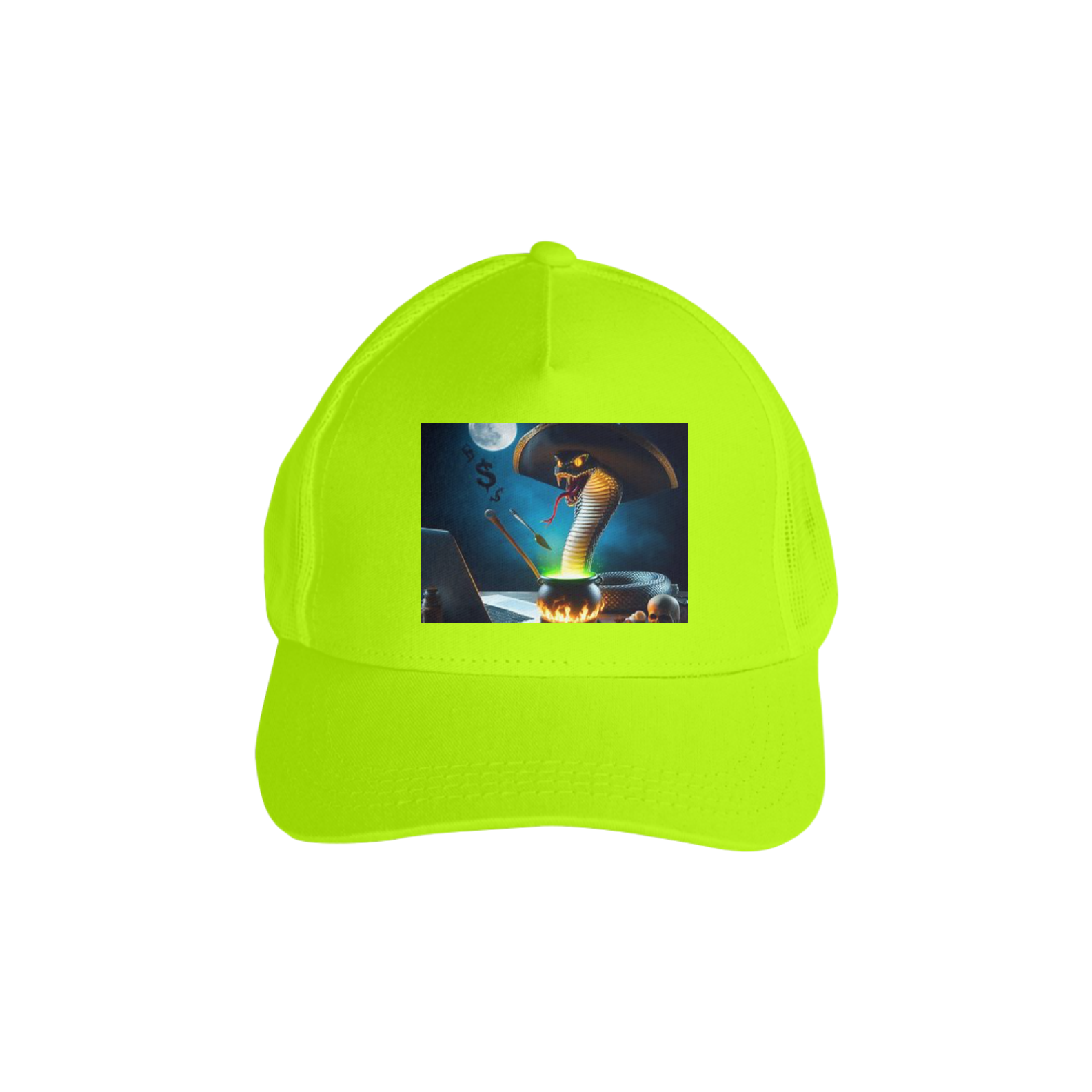 Snake Pirate Programmer