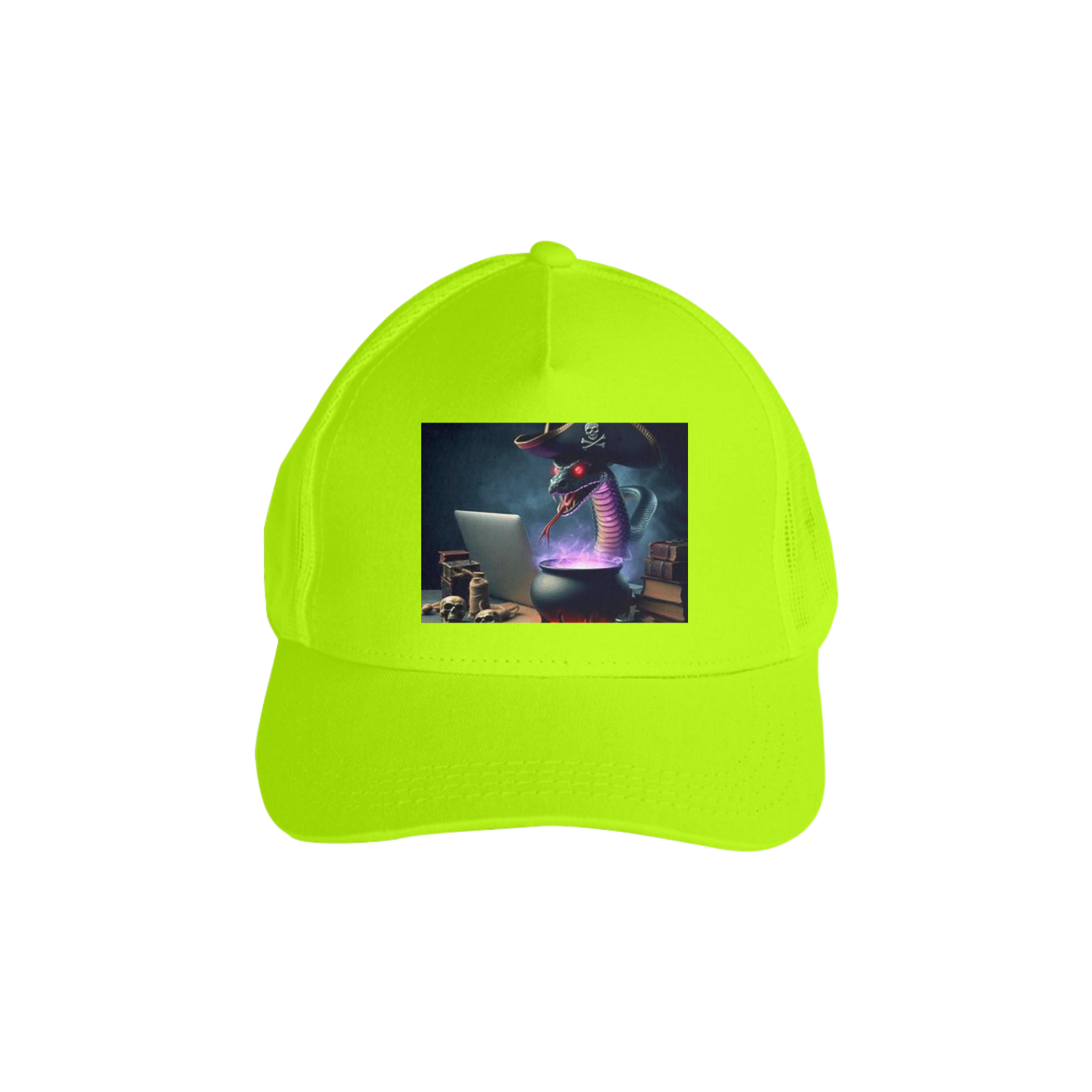 Snake Pirate Programmer