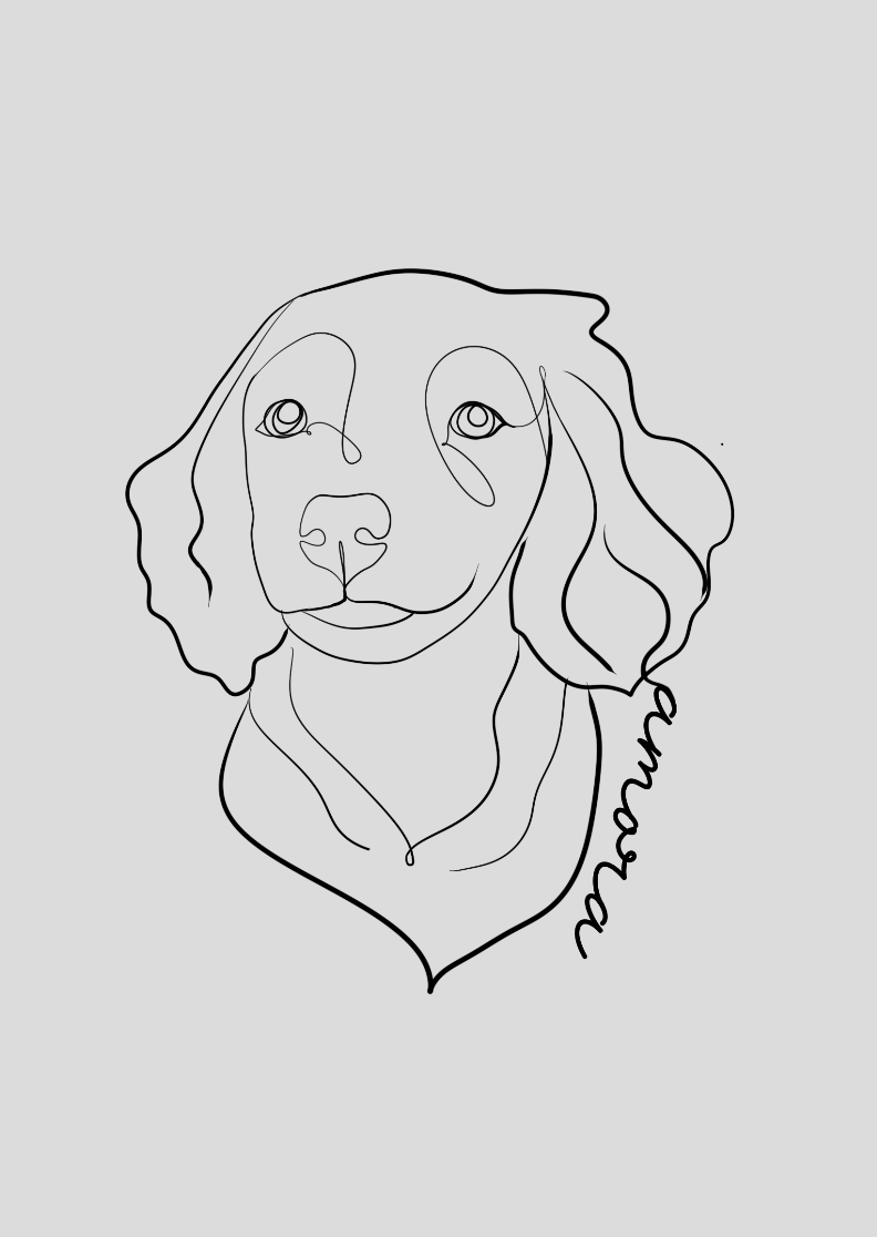 Poster Personalizado Lineart da Foto