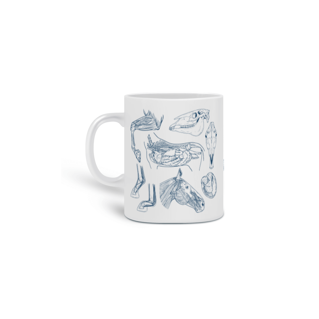 Caneca Anatomy of the Horse