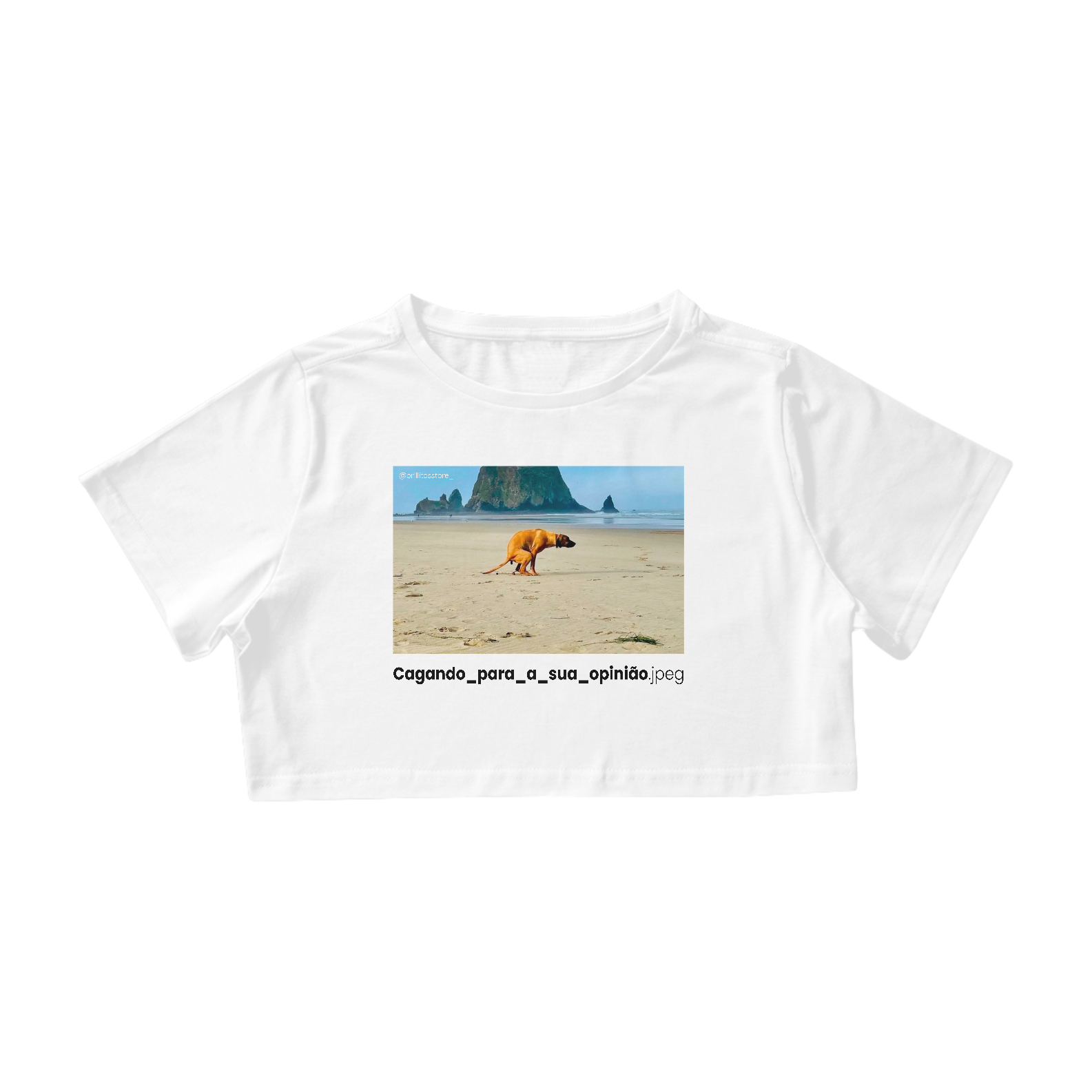 Cropped - BRANCO - Cagando para a sua opinião