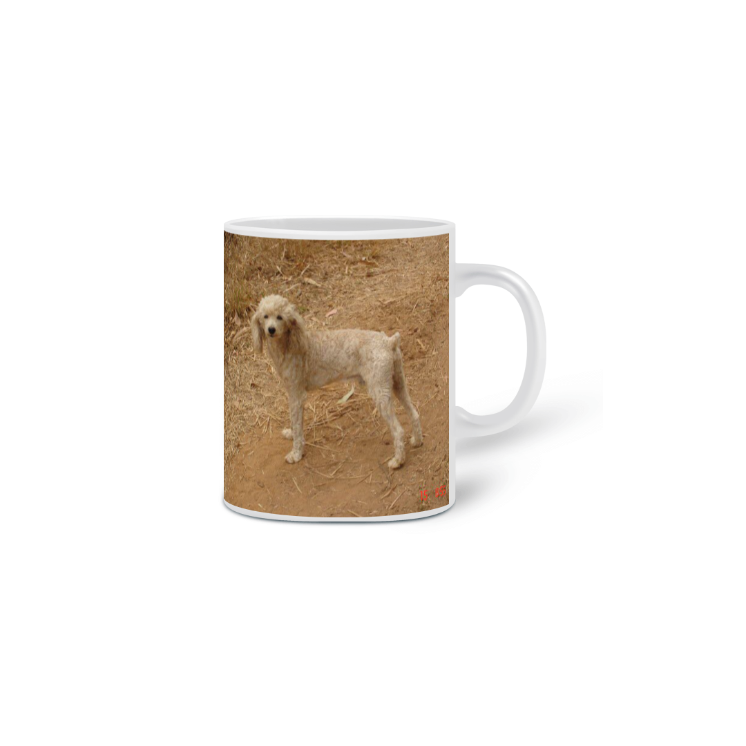 Nome do produto  Pingo oficial 3