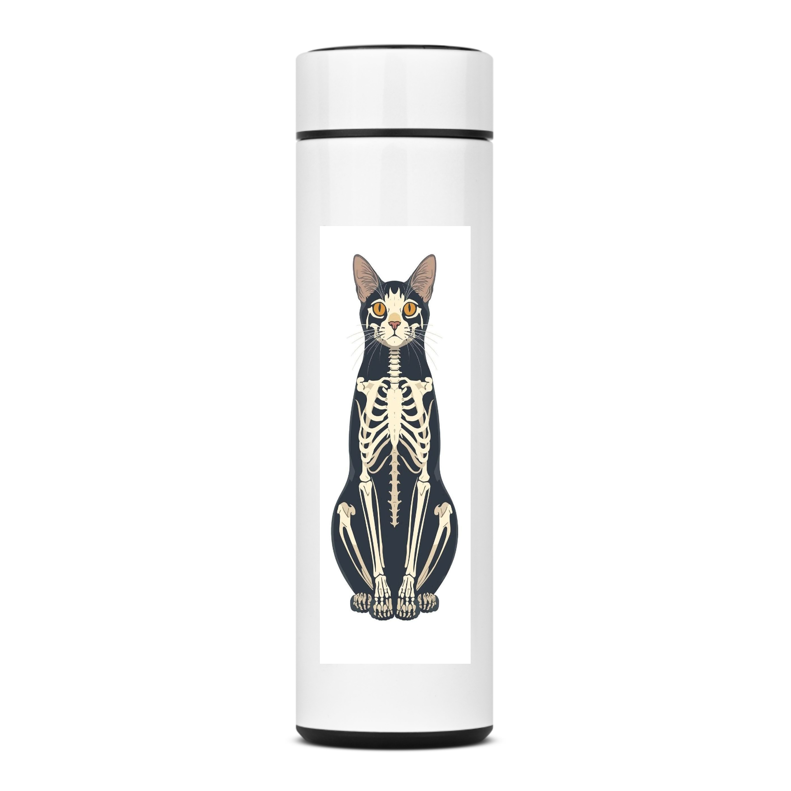Gato esqueleto