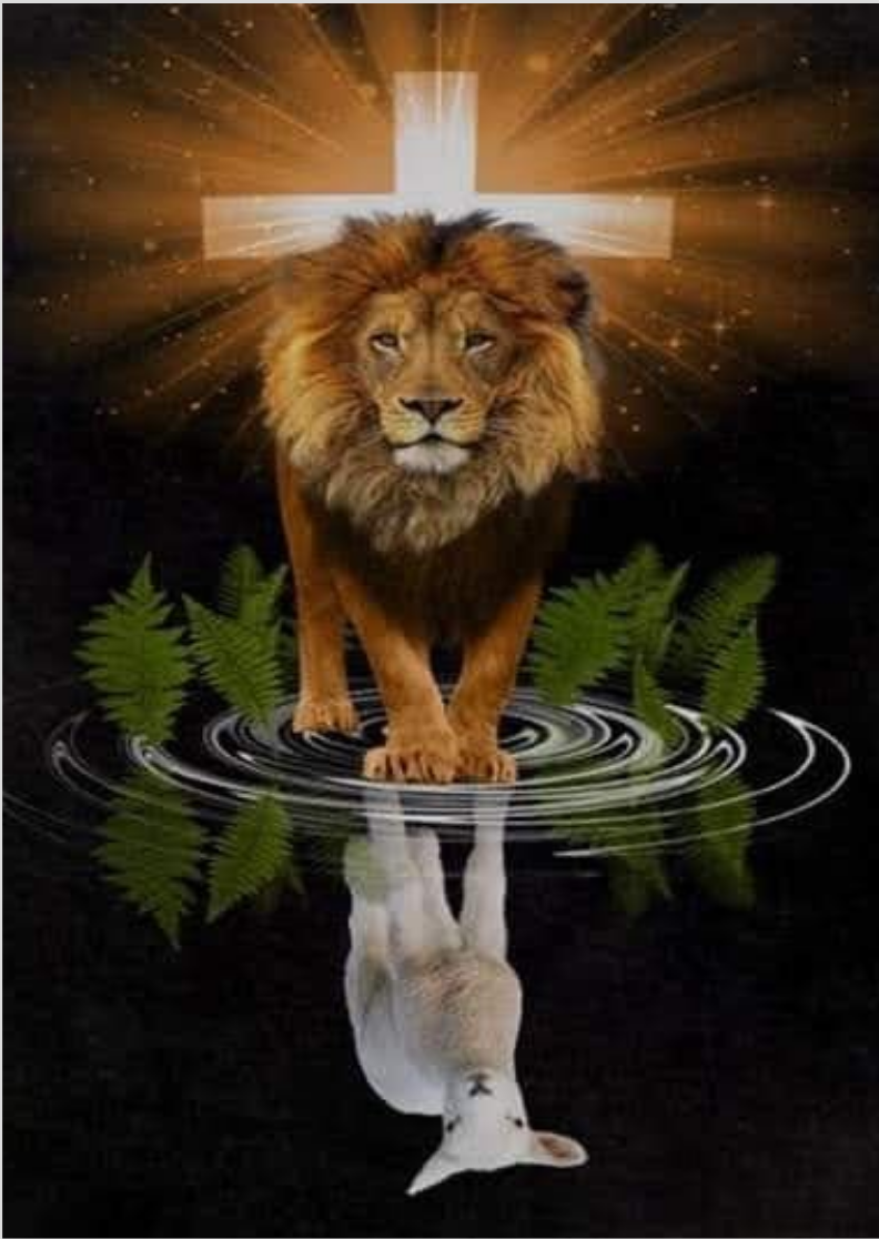 POSTER CRUZ LEÃO E CORDEIRO