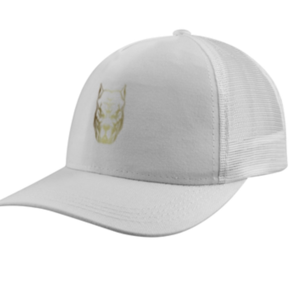 Boné americano com tela