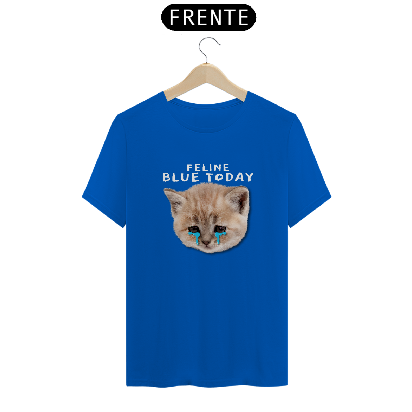 Feline blue today