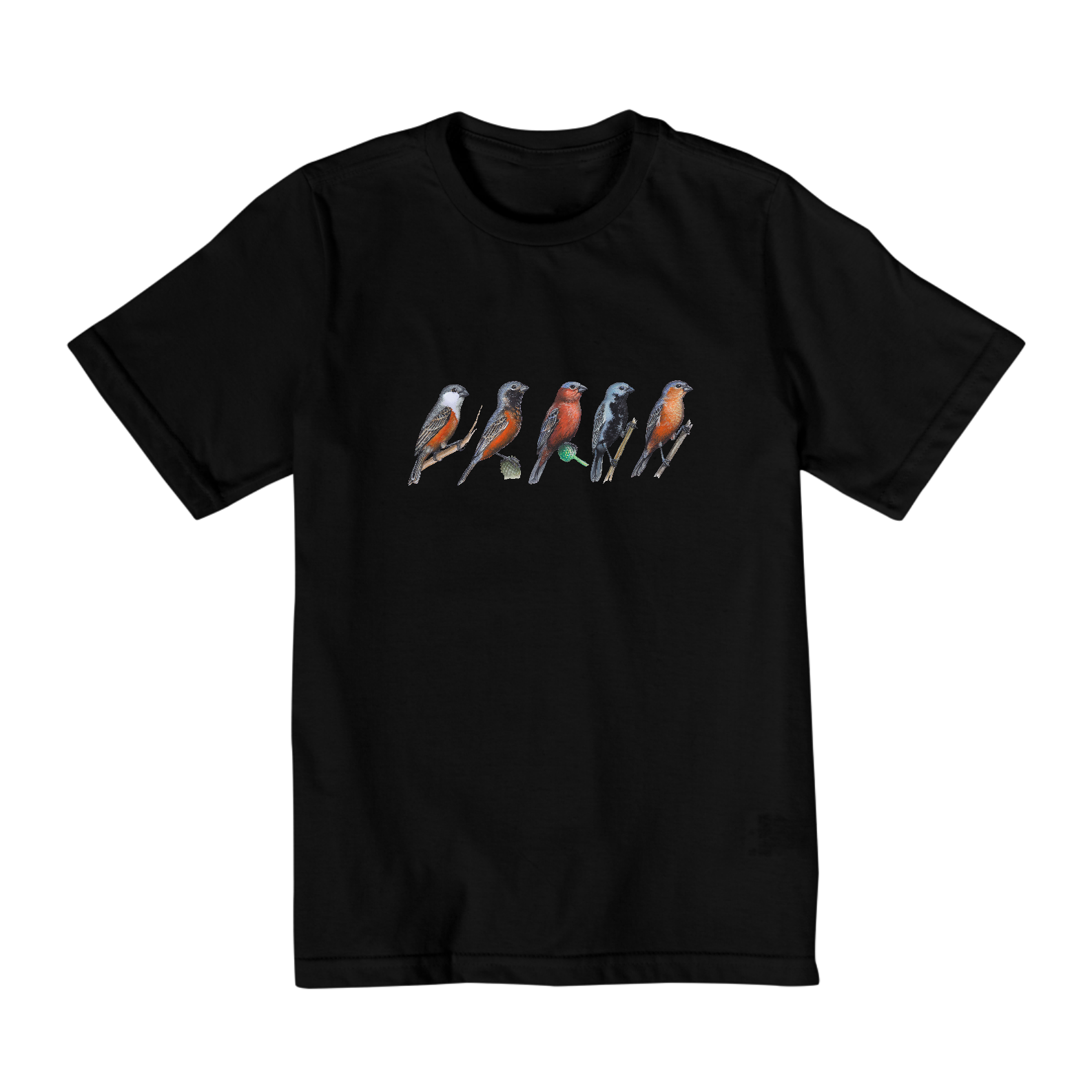 Camiseta Sporophilas | Infantil 2 a 8 anos