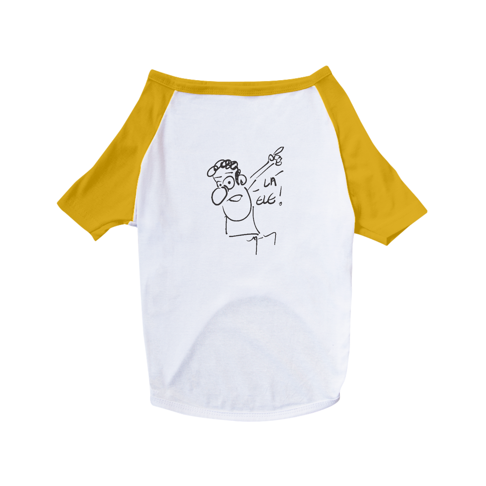 Nome do produto  Pet dog Lá ele!